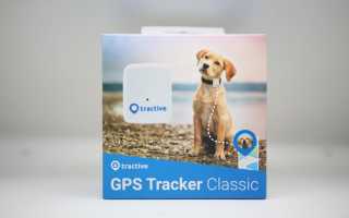 Как выбрать GPS-трекер для собаки? Лучшие модели и их цены